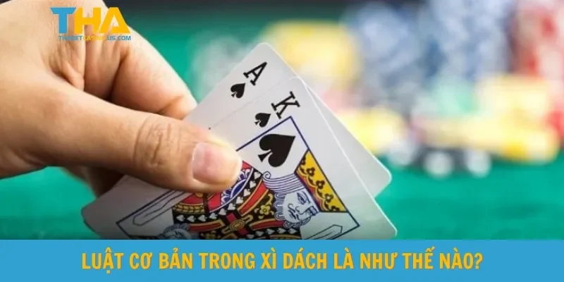 Luật cơ bản trong xì dách là như thế nào?