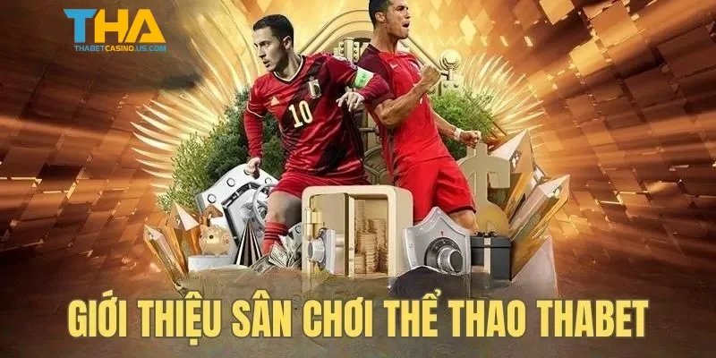 Lý do sảnh thể thao được yêu thích tại nhà cái